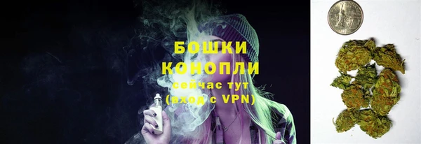тгк Семёнов