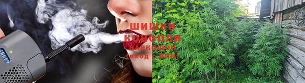шишки Абинск