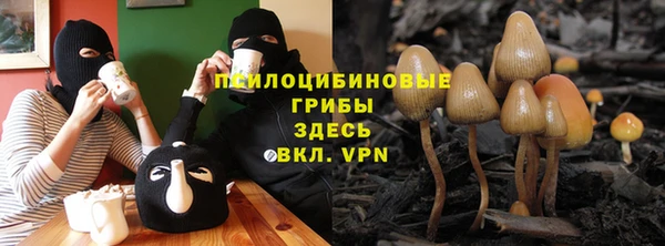 шишки Абинск
