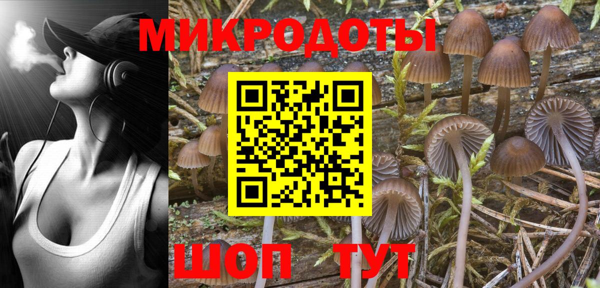 Псилоцибиновые грибы Psilocybine cubensis  магазин    Ишимбай  Псилоцибиновые грибы мицелий  Вход с VPN 