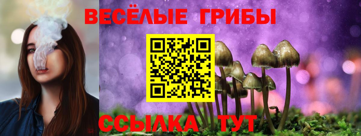 Псилоцибиновые грибы Psilocybine cubensis Ишимбай